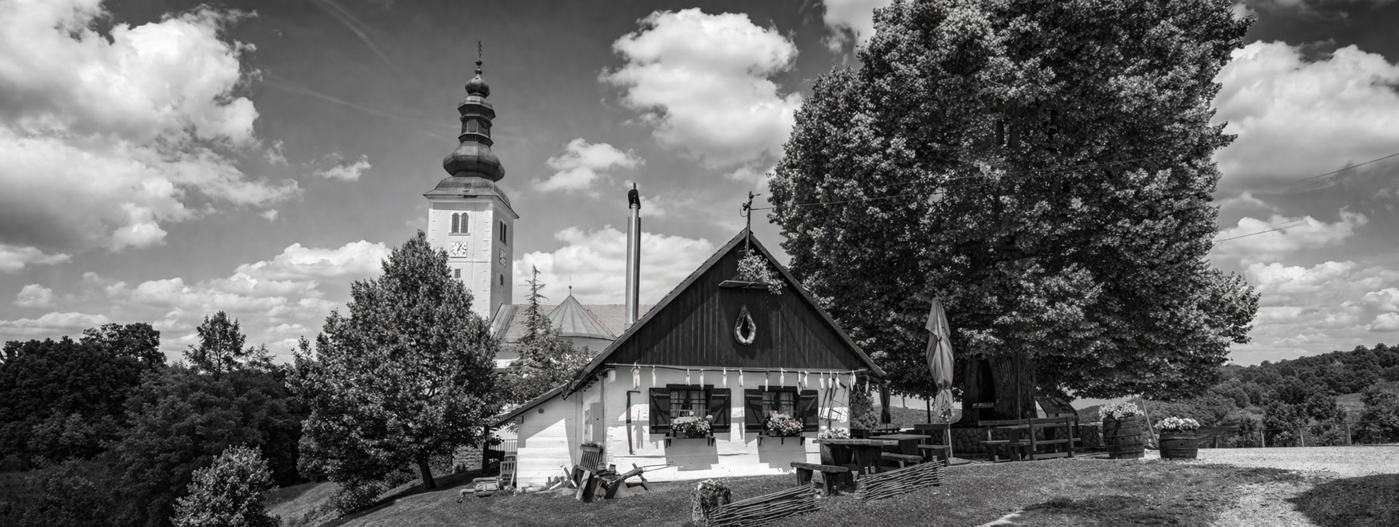 Usamljeno drvo u tihom pejzažu